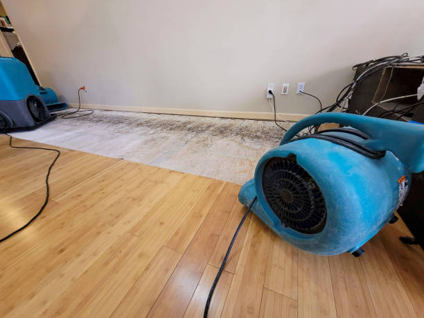 Professional Water Removal technician working in Bristol, FL